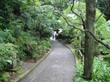 gal/Autour de Tokyo/Kamakura/_thb_105_0525.jpg